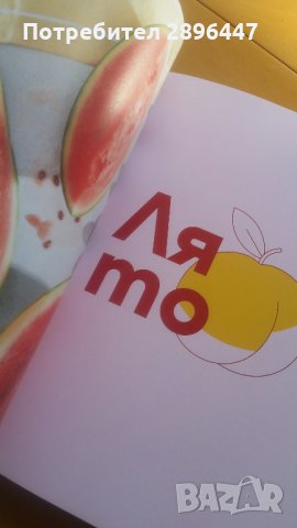 Книгата на шев Манчев и Шишков, снимка 10 - Колекции - 35569842