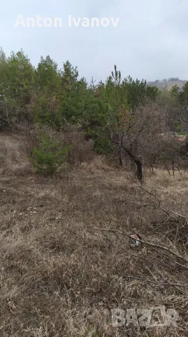 Предлагам услуги с трактор,багер и самосвал.
, снимка 11 - Транспортни услуги - 49067372