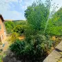Продавам първия етаж от къща в с. Бръшляница | 80 кв.м + двор 1710 кв.м  11 990 €, снимка 5