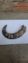 Много стар биволски рог, снимка 3