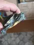 Водни костенурки, снимка 6