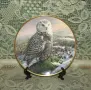 Колекционерскa декоративнa порцелановa чиния Spode, с полярна сова, снимка 4