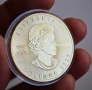 Позлатена 1 унция Кленов лист, снимка 2