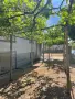 Голяма къща + 900 кв.м дворно място в град Хисар от собственик, снимка 5