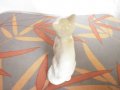 Старa Българска  Порцелановa Фигурa - Котка, снимка 3