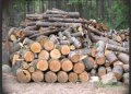 дърва за огрев дъб,бук,цер и габър, снимка 1 - Дърва за огрев - 42774155