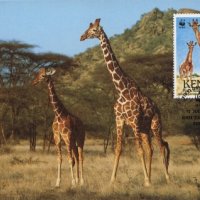 Кения 1989 4 броя Карти Максимум - WWF, снимка 1 - Филателия - 38881610