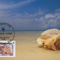 Невис 1990 - 4 броя Карти Максимум - WWF, снимка 3 - Филателия - 38788910
