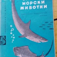 Опасни морски животни - Койка Александрова, снимка 1 - Българска литература - 42757311