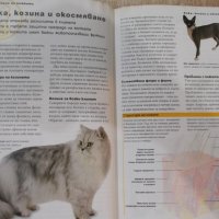 Книга "Всичко за котката - д-р Брус Фогъл" - 288 стр., снимка 5 - Специализирана литература - 42499977