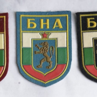 Нови емблеми на БНА, снимка 1 - Колекции - 44516272