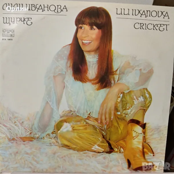 Грамофонни плочи, снимка 1