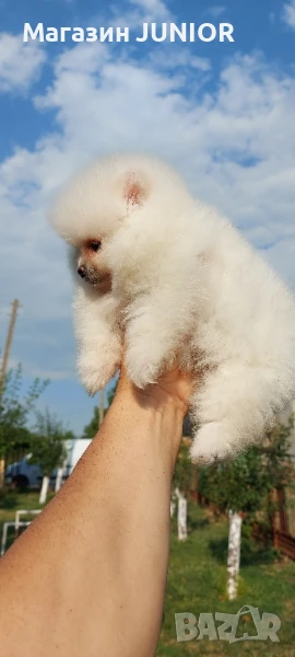 мини момиче, снимка 1