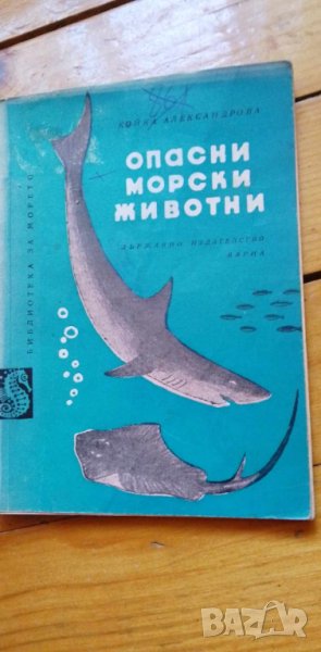 Опасни морски животни - Койка Александрова, снимка 1