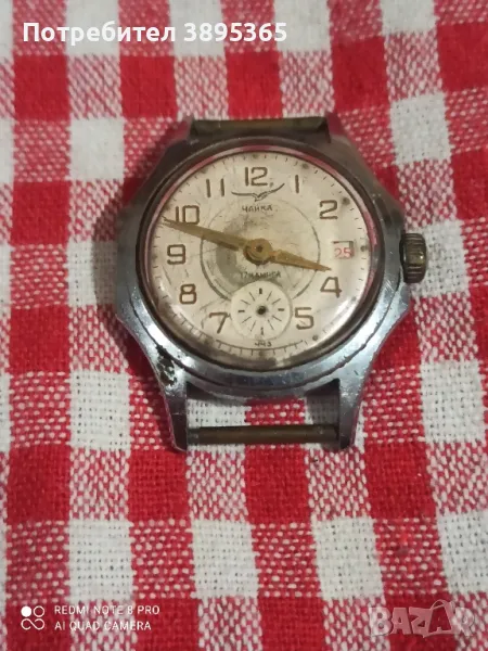 Чайка часовник, снимка 1