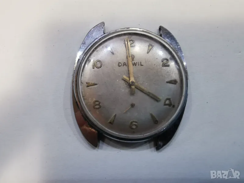 DARWIL, снимка 1