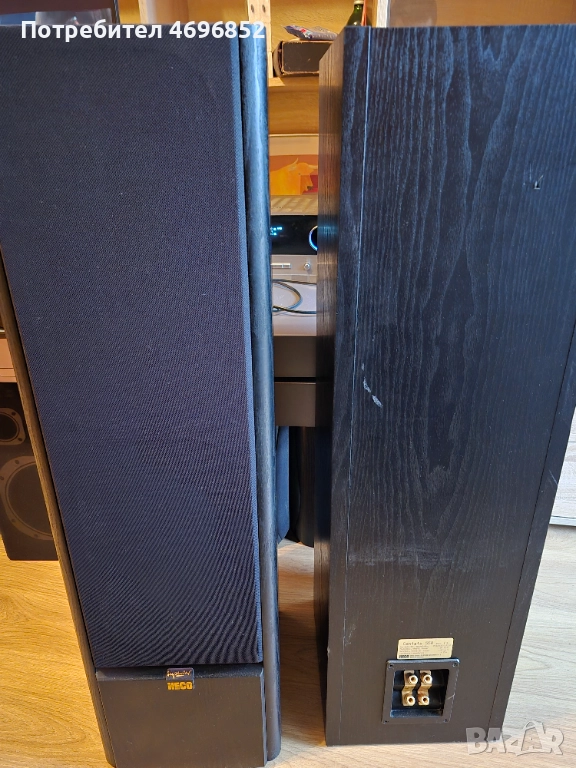 Колони Несо, снимка 1