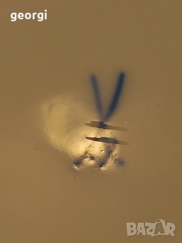 порцеланова чиния Meissen , снимка 7 - Антикварни и старинни предмети - 44271336