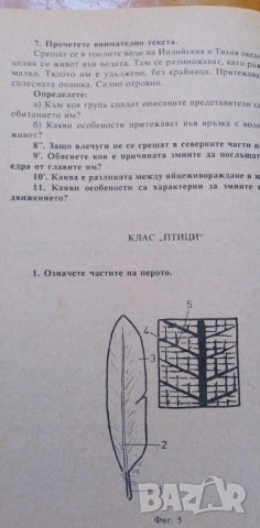 Тестове за проверка по биология за 7. клас Мария Кабасанова, Величка Димитрова, снимка 4 - Учебници, учебни тетрадки - 42829960