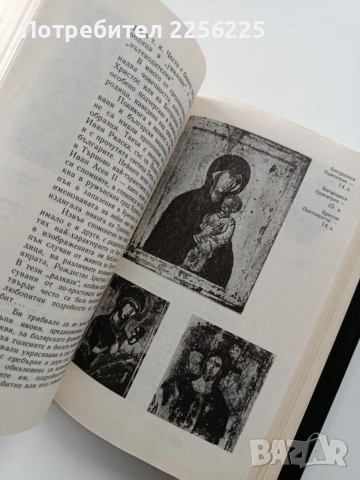 Вечно зеленото клонче, снимка 10 - Специализирана литература - 54066443