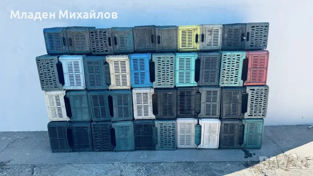 щайги Булгарплод
