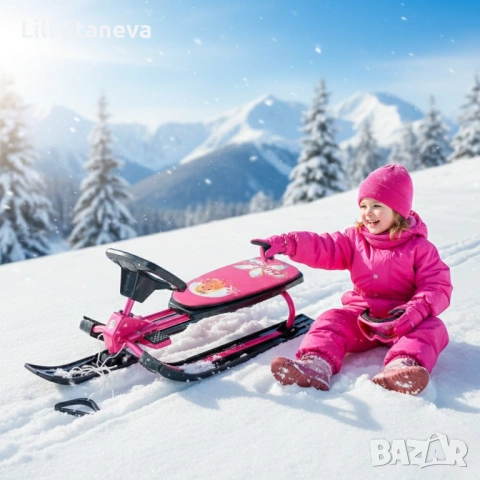 Зимна шейна с кормило, предни и задни ски и метална спирачка Mustang. 