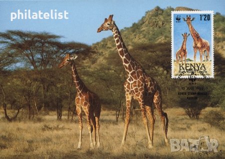 Кения 1989 4 броя Карти Максимум - WWF