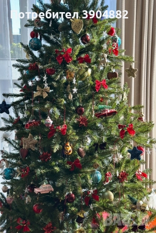 Коледна елха Див смърч 220см