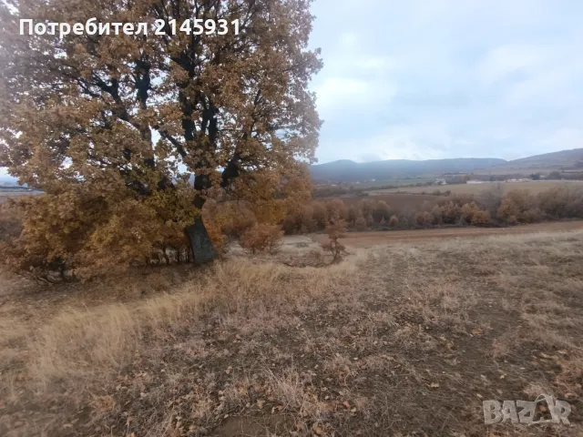 Зеделеска земя в землището на село Логодаж, снимка 3 - Земеделска земя - 48185867