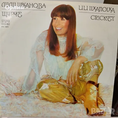 Грамофонни плочи, снимка 1