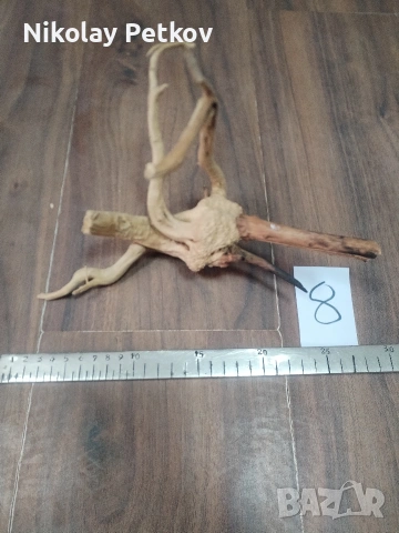 Корени за аквариум, терариум, паладиум , снимка 8 - Аквариуми - 44083269