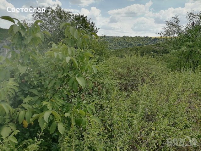 Продавам парцел в регулация в с. Кошов , снимка 8 - Парцели - 37338185