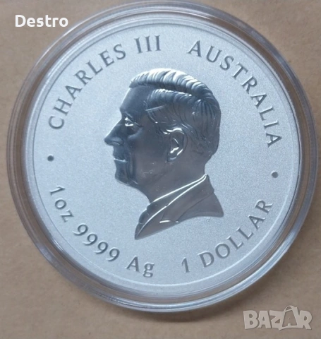 Сребърни монети от 1/2 Oz до 2 Oz Lunar 2026, снимка 4 - Нумизматика и бонистика - 54022350