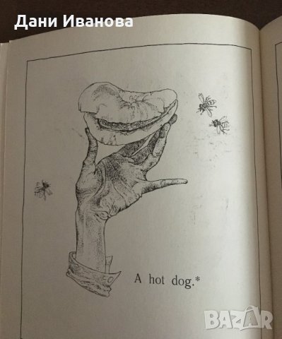 A PICTURE BOOK OF RIDDLES – образователна книжка на английски език, снимка 8 - Чуждоезиково обучение, речници - 34350152