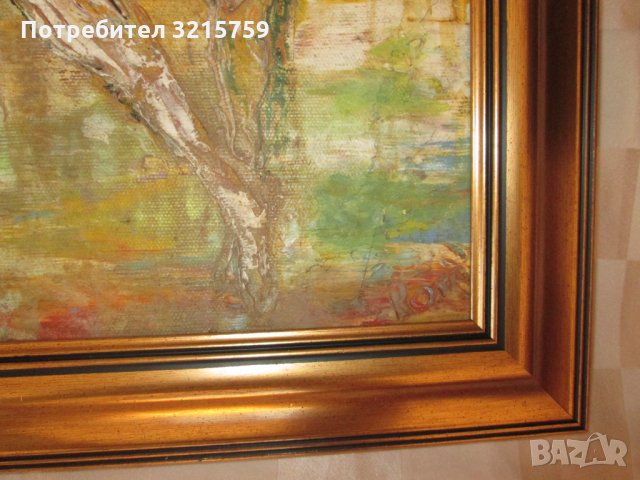 Картина масло,платно , подписана, 60х50см, снимка 8 - Картини - 35501794