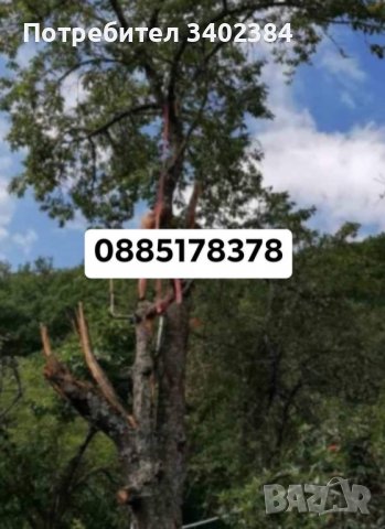 Рязане на високи и опасни дървета и почистване на дворове от треви и храсти., снимка 12 - Градинска техника - 36933277