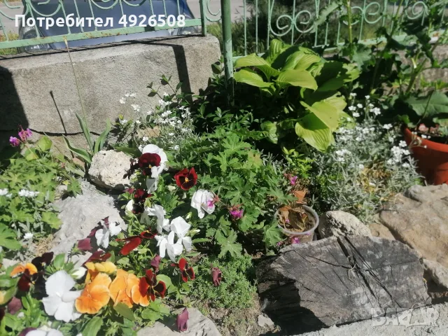 ПРОДАВАМ ПЪРВИ ЕТАЖ ОТ КЪЩА 100 М2 С ДВОРНО МЯСТО, снимка 5 - Етаж от къща - 55768719
