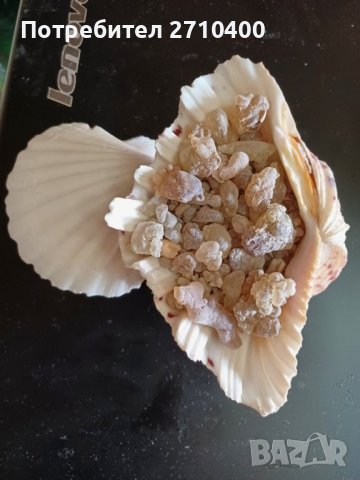 Тамян.Фаворитът.От Оман.Босвелия сакра.Арабски тамян Ходжари От Дофар, снимка 11 - Други - 37083493