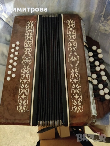 Детски акордеон 
