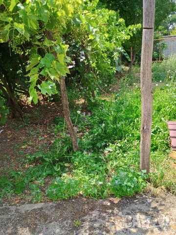 Продава,заменя къща в Д.Митрополия за жилище в Плевен , снимка 15 - Къщи - 54277591