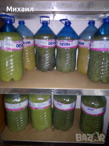 Пчелен прашец, снимка 4 - Пчелни продукти - 53044572