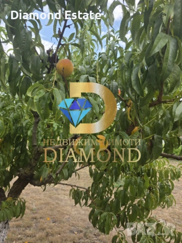 Двуетажна къща, парцели и бизнес в село Тракия, обл. Стара Загора, снимка 9 - Къщи - 51483256