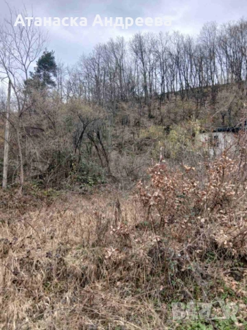 Къща с двор/1025м²/ в село Розово, снимка 2 - Вили - 54063756