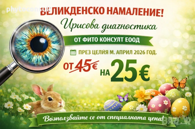 Ирисова диагностика