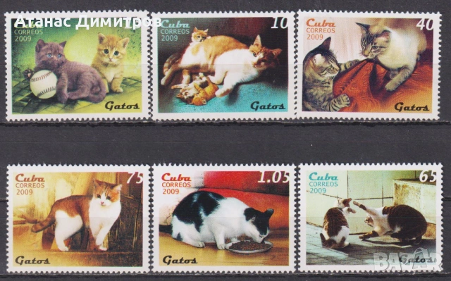 Чист блок Фауна Фауна Котки 2009 от Куба, снимка 2 - Филателия - 34572449