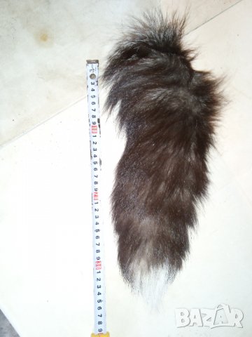 Опашка, козина