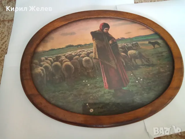 Картина жена (овчарка )с червена шапка 50442