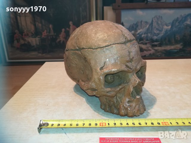 масивен череп 20см 1003210837, снимка 3 - Колекции - 32102510