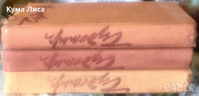 Чудомир 1-3, снимка 2 - Художествена литература - 51368062