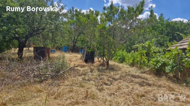 Къща с голям двор, работилница и гараж в гр. Омуртаг, снимка 8 - Къщи - 51324233